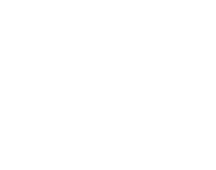 Raamsticker Koppelverkoop -20%